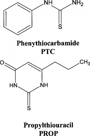 Formule Ptc PTC Uji Sensitif Lidahmu - Kompasiana.com
