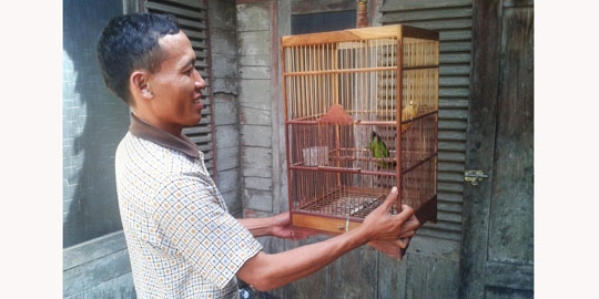 Azizin Datangkan Burung Kicau Mania Dari Kalimantan Kompasiana Com