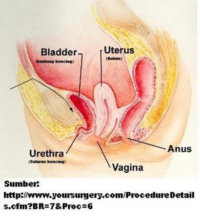 Lidiya Arefieva erotik rasmlar Porno - bu korinadigan sir