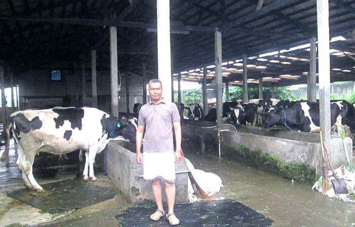 Jalan Jalan Sambil Mengintip Peternakan Sapi Di Cipayung Bogor Kompasiana Com