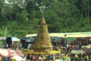 84 Gambar Pesta Durian Wonosalam 84 Gambar Pesta Durian Wonosalam