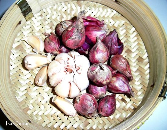 Bawang Merah Bawang Putih Bawang Bombay Berkembang Biak Dengan Cara Bagis