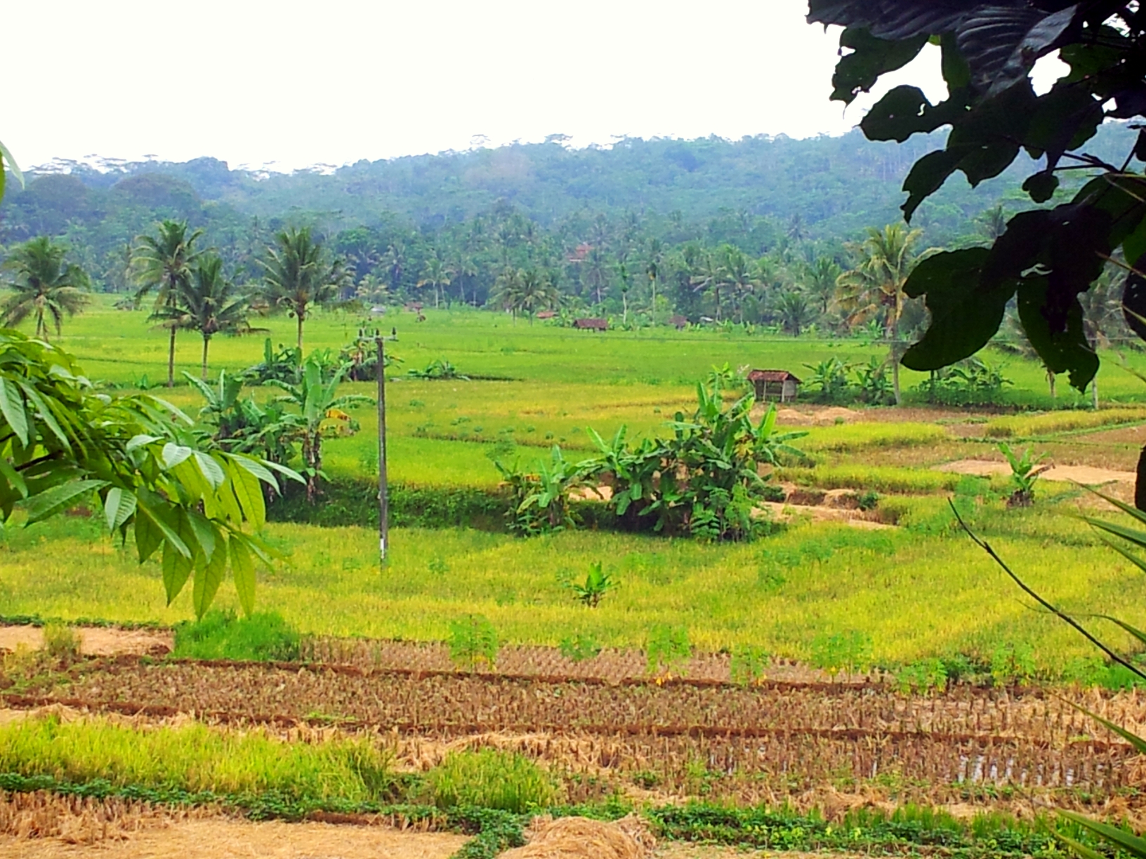 Mari Jelajah Ciamis Kota Tenang Yang Manis Oleh Mira Marsellia