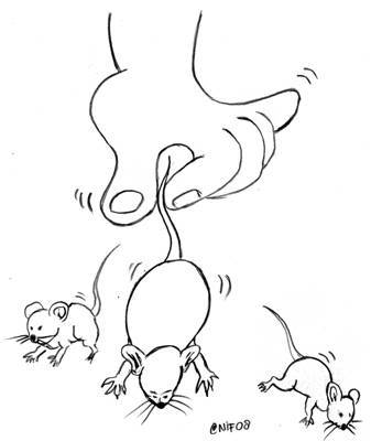 terbaru 11+ gambar tikus kartun hitam putih - gani gambar