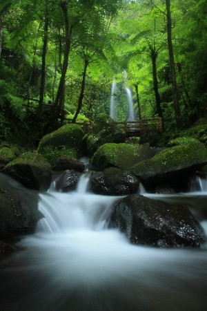 Eksotisnya Air Terjun Jumog Kompasianacom