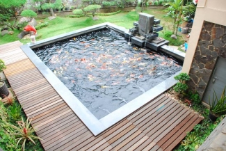 Warna Cat Kolam Ikan Yang Bagus KOLAMA Warna Cat Kolam Ikan Yang Bagus KOLAMA