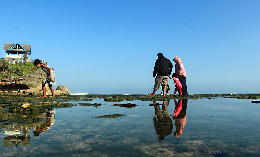 Berburu Biota Laut Di Pantai Kukup Gunungkidul Kompasianacom