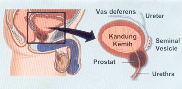 Ajoyib qiz Rassomlikda porno sanat