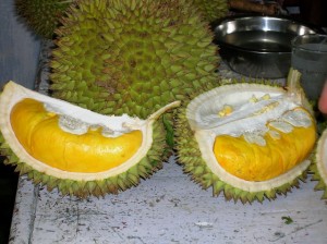 Download 4100 Koleksi Gambar Durian Belah Keren Gratis