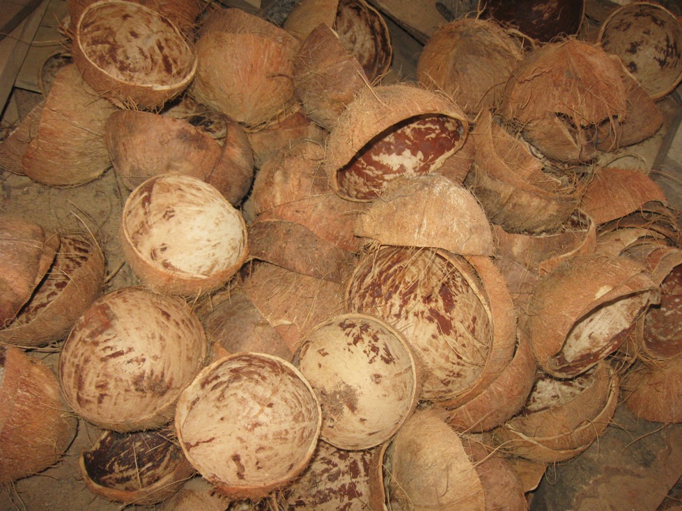 Batok Kelapa Mencapai Dunia Kompasiana com Batok Kelapa Mencapai Dunia Kompasiana com