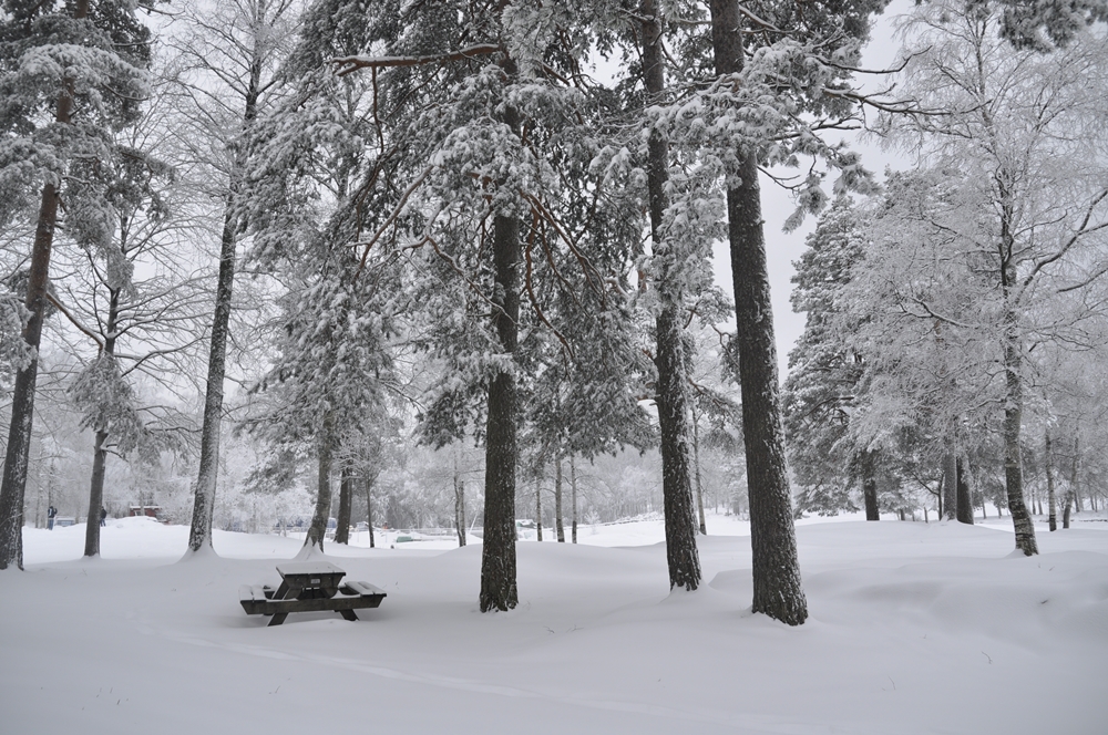 Musim Dingin di Norwegia Kompasiana com Musim Dingin di Norwegia Kompasiana com