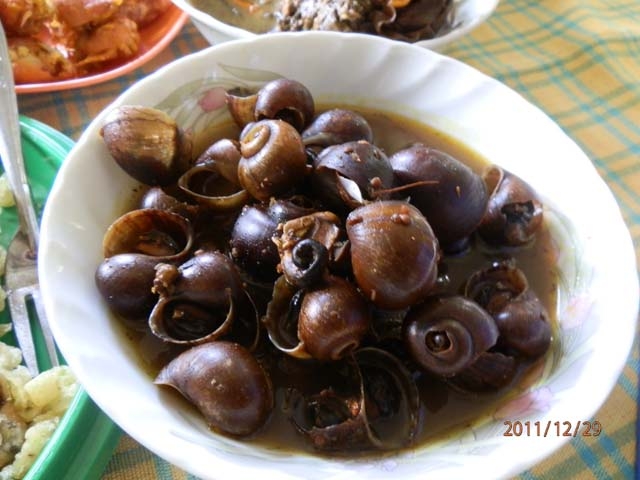 kerang berbentuk aneh Dianggap Menjijikan Bekicot di Prancis Justru Jadi  kerang berbentuk aneh Dianggap Menjijikan Bekicot di Prancis Justru Jadi