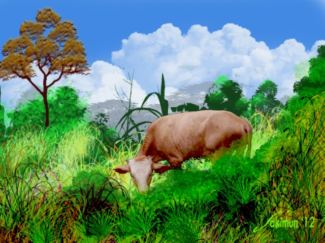 Binatang Mamalia Paling Aneh di Dunia Kompasiana com Binatang Mamalia Paling Aneh di Dunia Kompasiana com