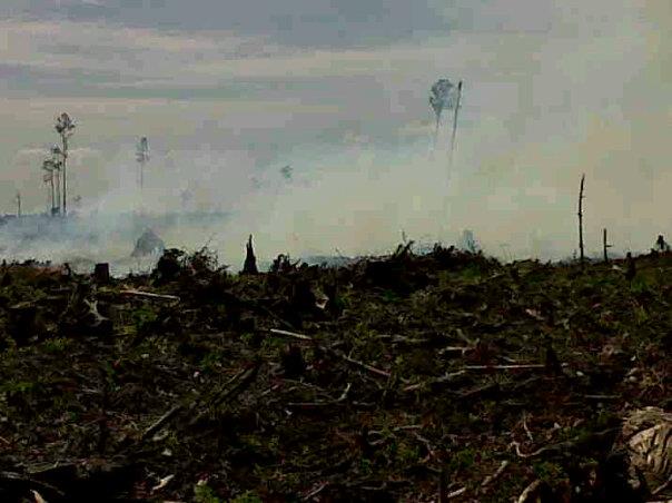 Sumber Daya Alam Tanggung Jawab Moral Menuju Tanggung Jawab Hukum Yang Berkeadilan Sosial Kompasiana Com