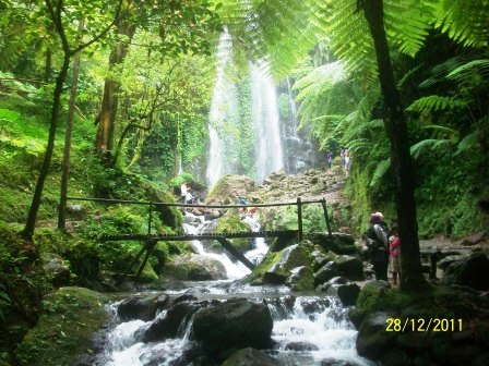 Jumog Air Terjun Perawan Nan Mempesona Kompasianacom