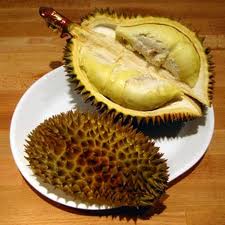 Download 80 Gambar Durian Gajah Keren Gratis