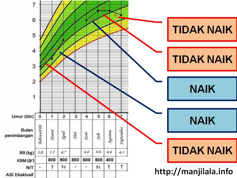 Berat  Badan  Anak Tidak Naik naik Kompasiana com  Berat  Badan  Anak Tidak Naik naik Kompasiana com