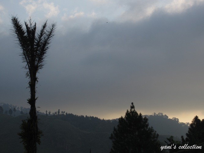 Wpc 27 Memotret Di Saat Cuaca Mendung Berawan Dan Langit Pucat