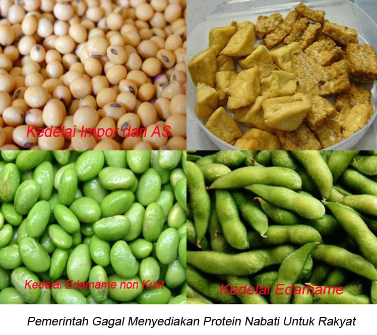 Pemerintah Gagal Menyediakan Protein Hewani Dan Nabati Untuk