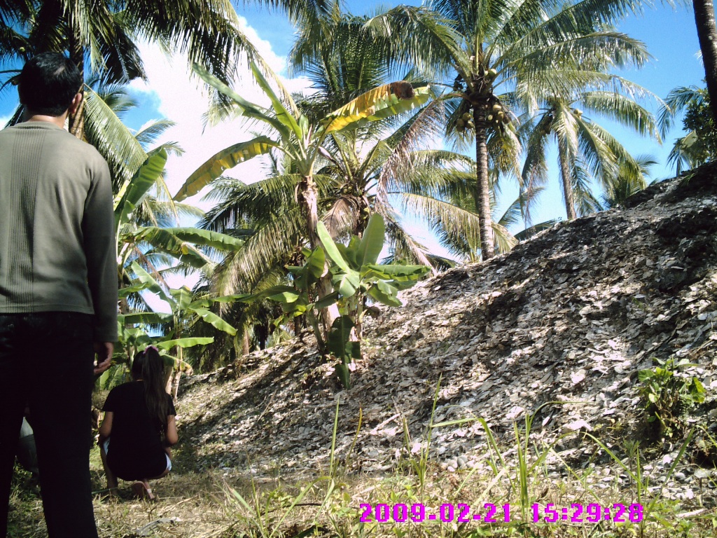 Sampah Dapur  Prasejarah di Kawal Bintan Kompasiana com  Sampah Dapur  Prasejarah di Kawal Bintan Kompasiana com