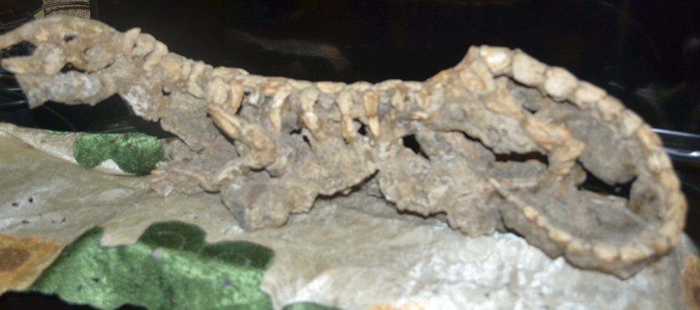 Tentang Waktu Azali Waktu Bumi Dan Perhitungan Tahun Halaman 1 Kompasiana Com Tentang Waktu Azali Waktu Bumi Dan Perhitungan Tahun Halaman 1 Kompasiana Com