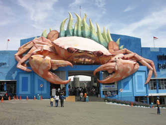 Kepiting Raksasa Di Jawatimur Kompasianacom