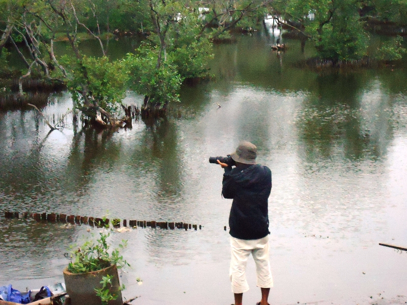 30 Spesies Burung Gili Meno Terancam Punah Kompasiana Com