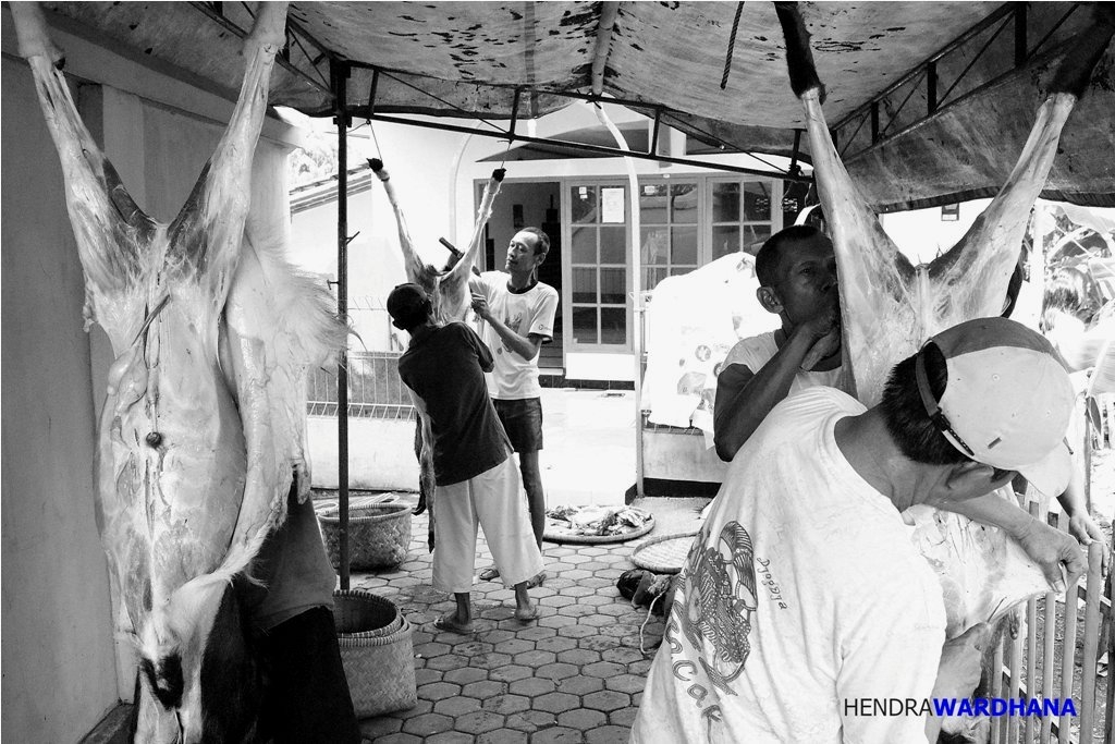 Cerita Foto: Idul Adha dalam Bingkai Gotong Royong Orang  Cerita Foto: Idul Adha dalam Bingkai Gotong Royong Orang