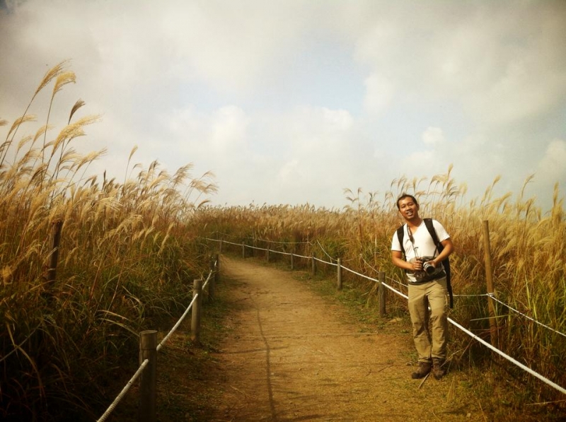 Indahnya Taman Sampah Hanuel Park Seoul Korea Selatan Indahnya Taman Sampah Hanuel Park Seoul Korea Selatan