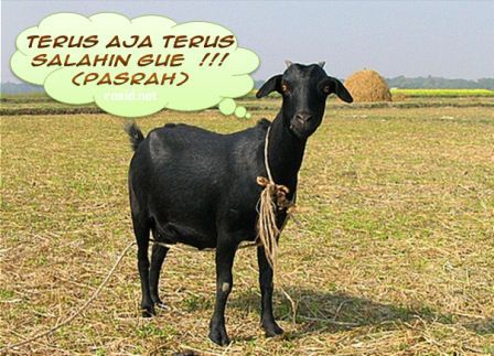 Kapankah Kebiasaan Mencari Si Kambing Hitam Akan Berkurang Di Negeri Ini Kompasiana 