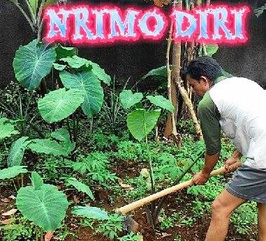 Nrimo Diri Sekarang Saatnya Kamu Menerima Realitas Kompasiana Com