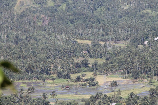 Pingkan Dan Matindas Kompasiana Com