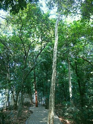Wisata Murah Sehat di Hutan Kota Cijantung Halaman 1 - Kompasiana.com
