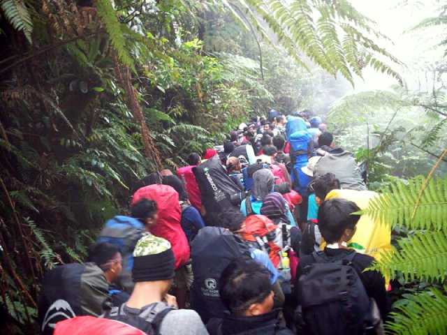 Gunung Bukan Tempat Sampah Fenomena Penggiat Alam Halaman Gunung Bukan Tempat Sampah Fenomena Penggiat Alam Halaman